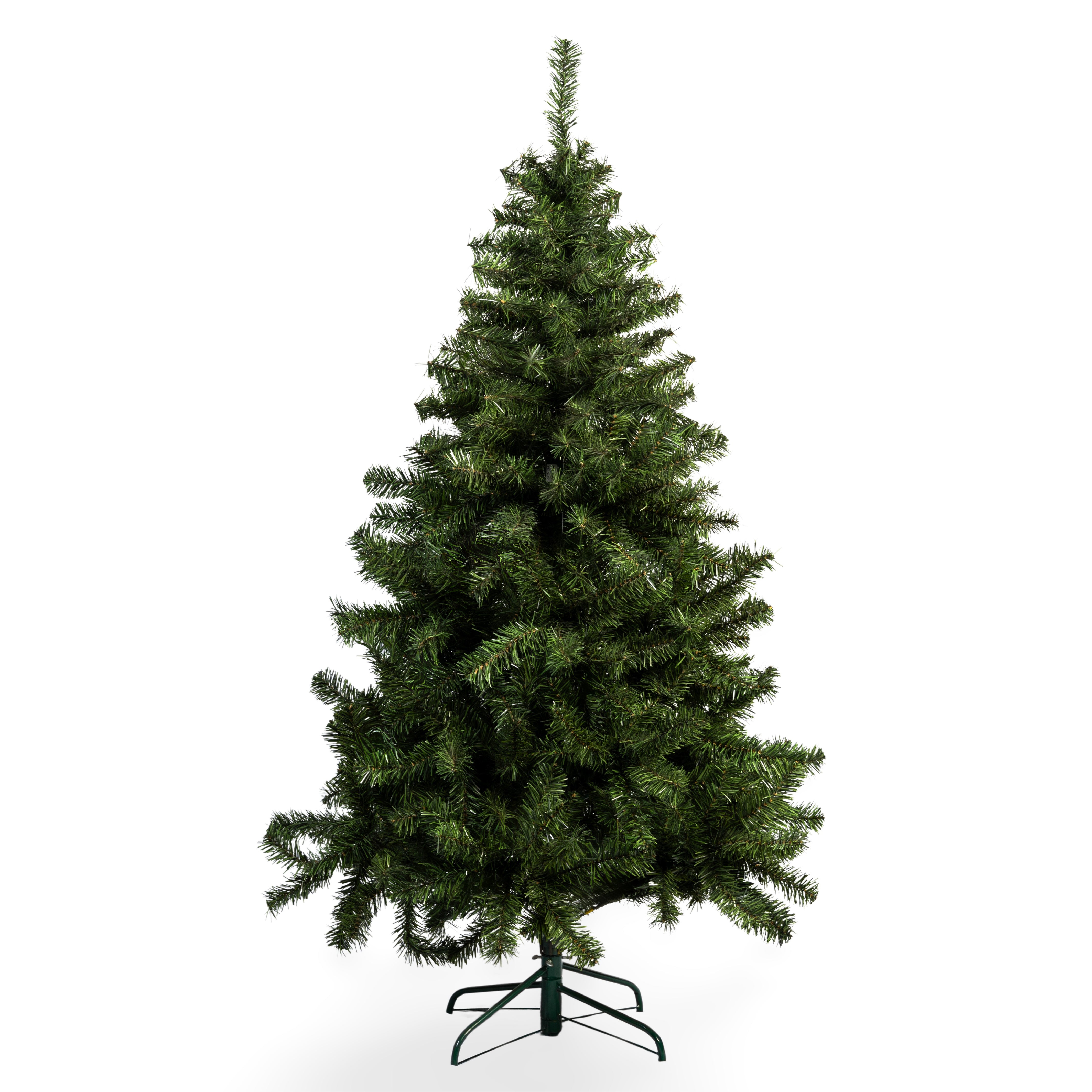 ÁRBOL PRINCIPE