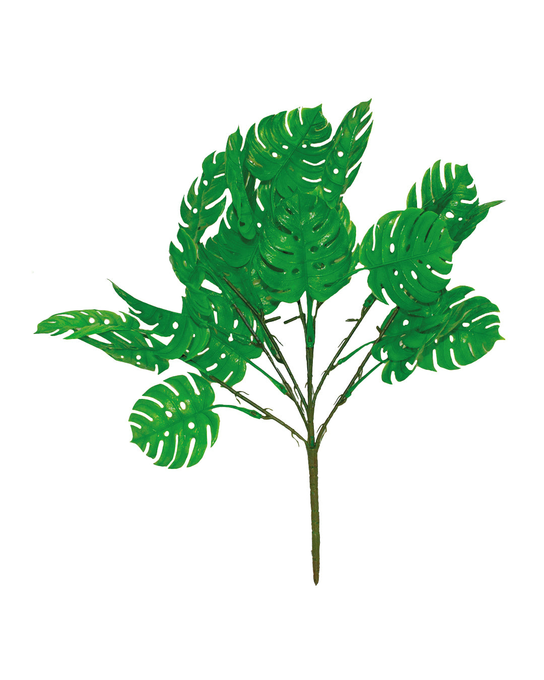 FOLLAJE MINI HOJA