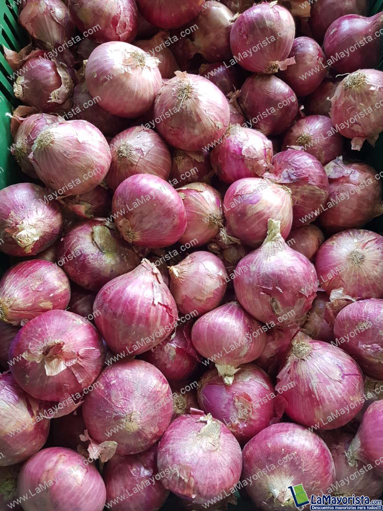 Cebolla roja ocañera extra