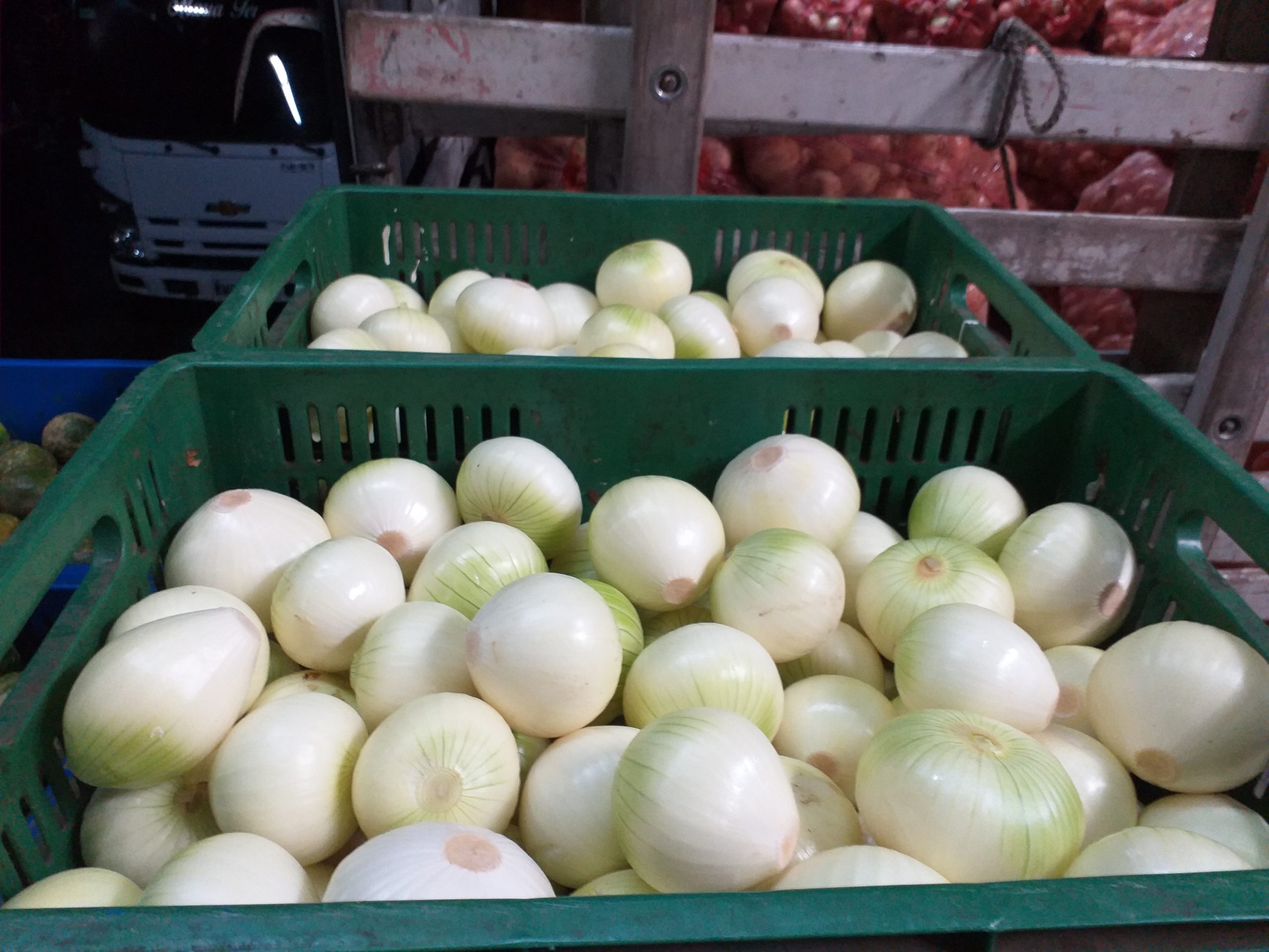 Cebolla blanca pelada