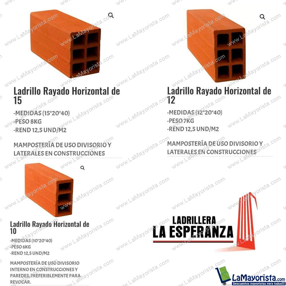 Ladrillo 10x20x40