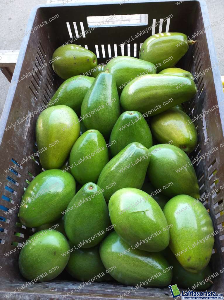 Aguacate