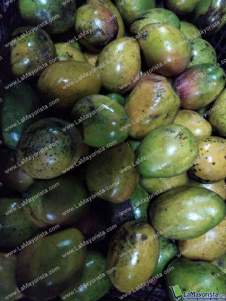 Mango criollo