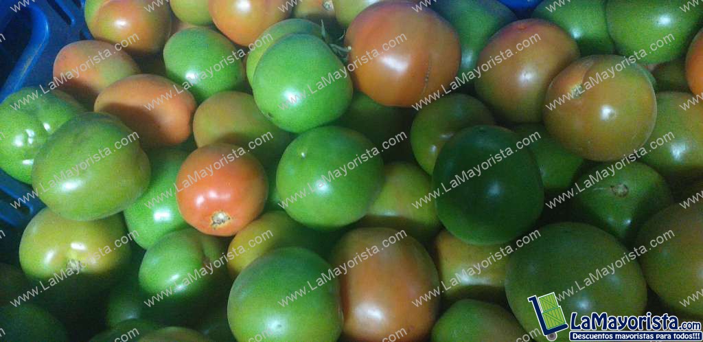 Tomate chonto