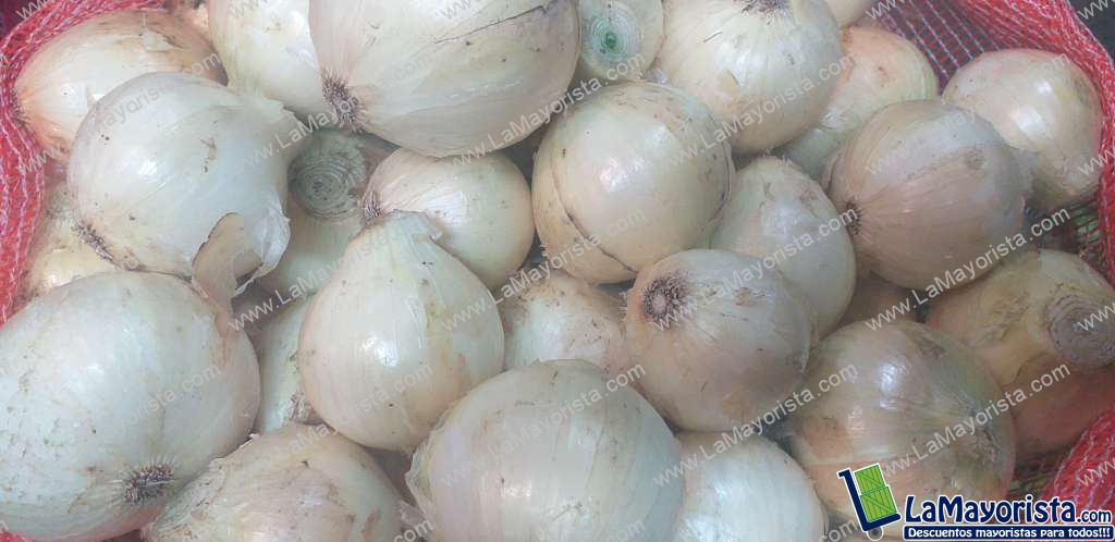 Cebolla de huevo blanca