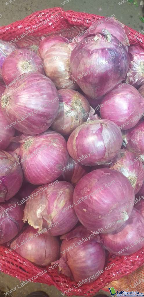 Cebolla de huevo roja