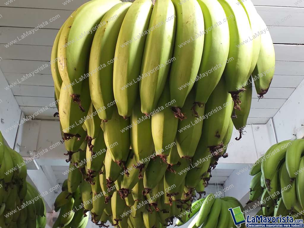 Banano criollo
