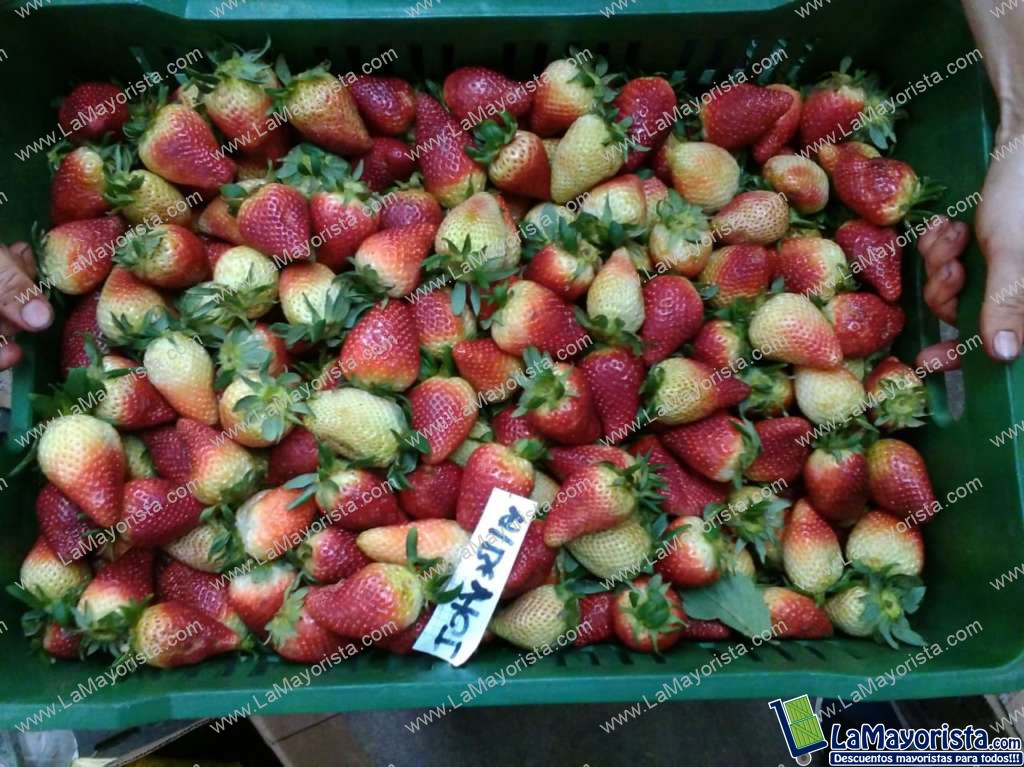 Fresa jumbo