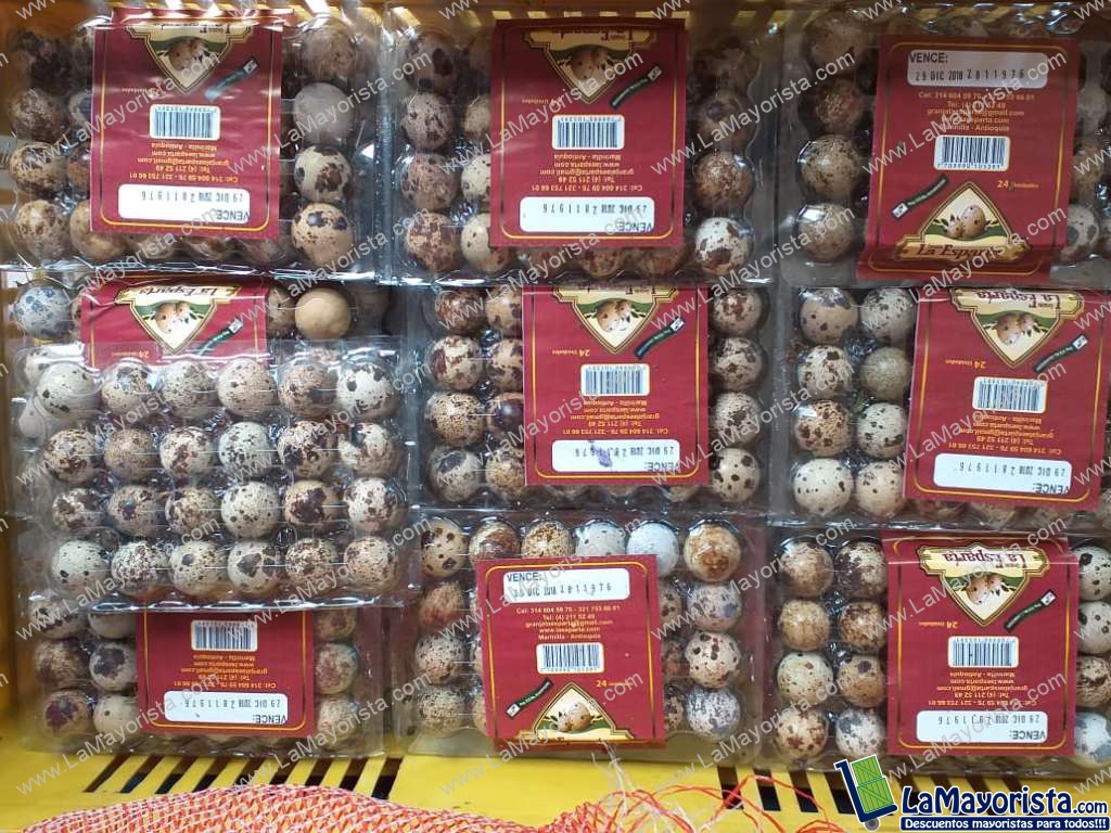 Caja de huevo de codorniz x 24 unidades