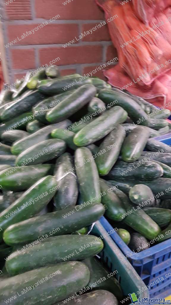 Pepino bulto 36 kg