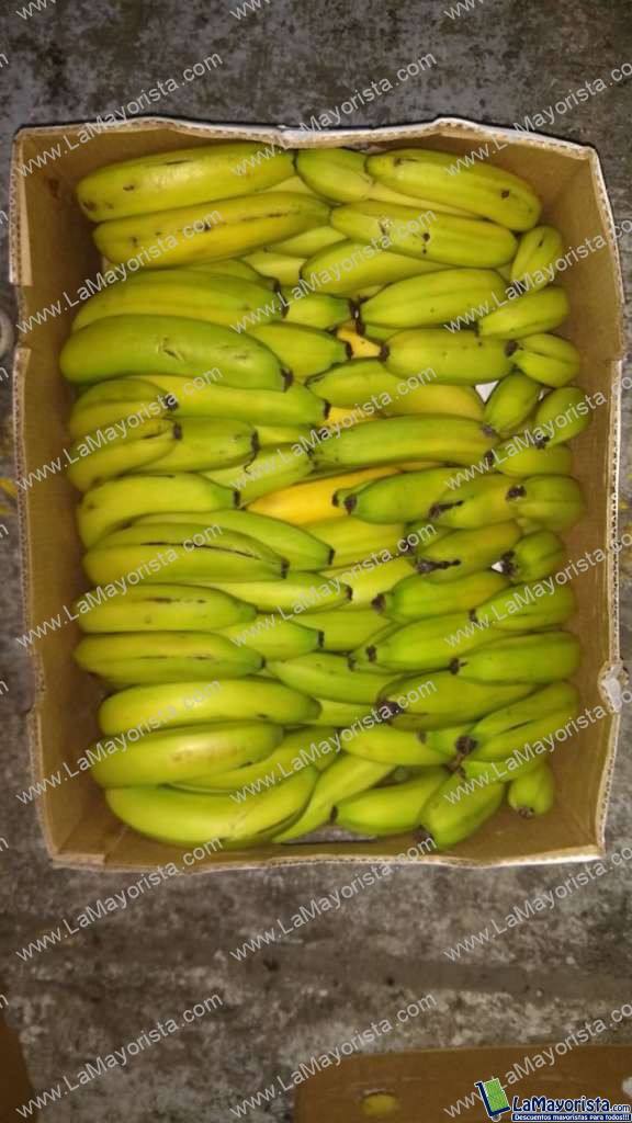 Banano de uraba