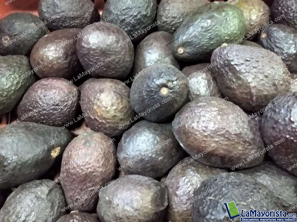 Aguacate hass