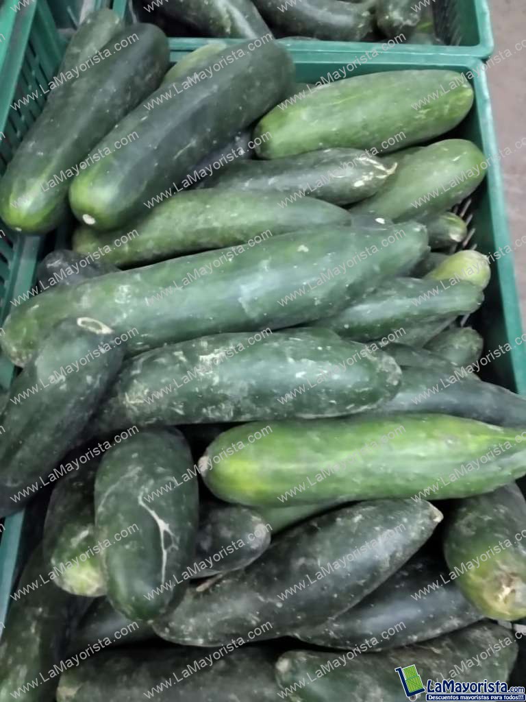 Pepino cohombro