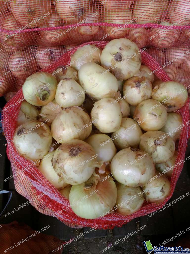 Cebolla de huevo gruesa