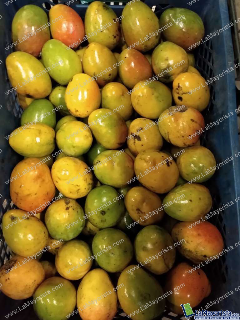 Mango criollo