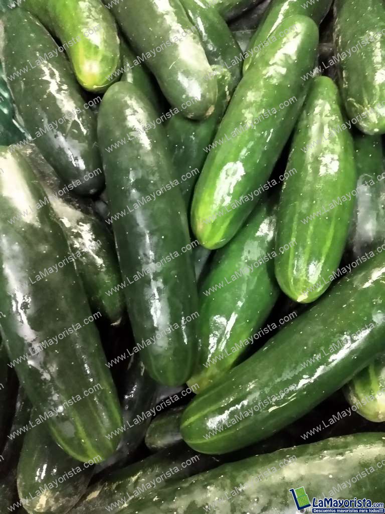 Pepino cohombro