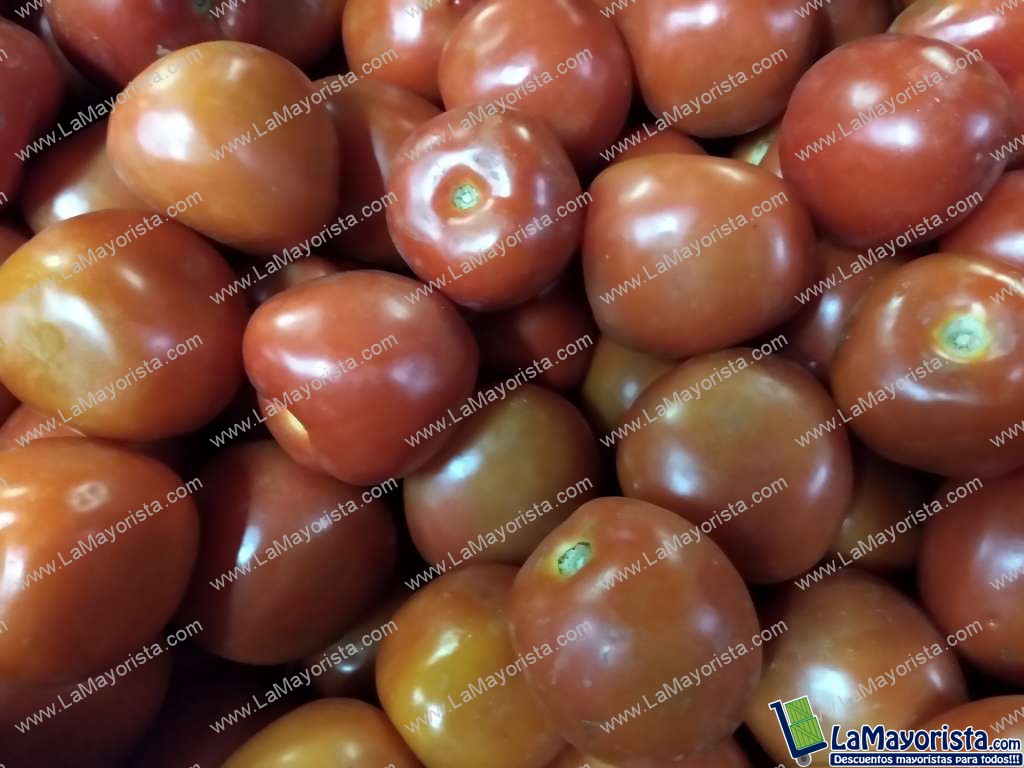 Tomate chonto
