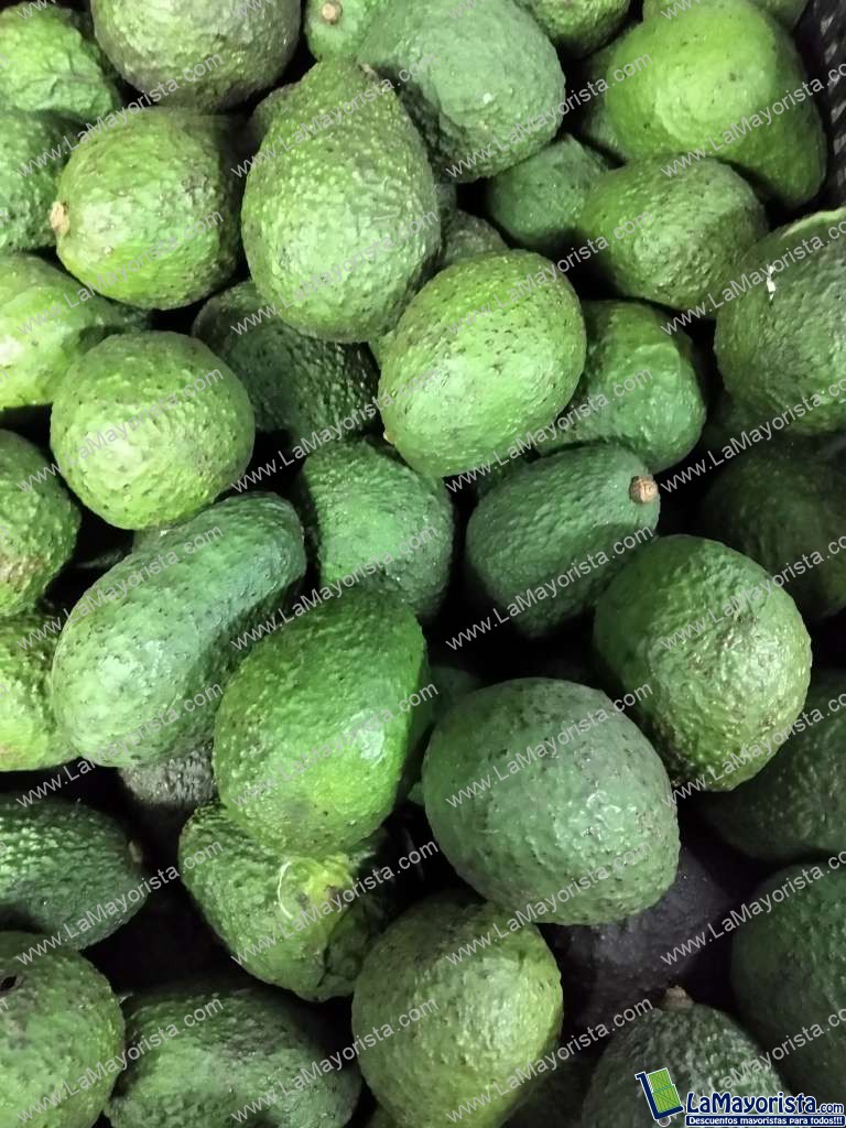 Aguacate hass