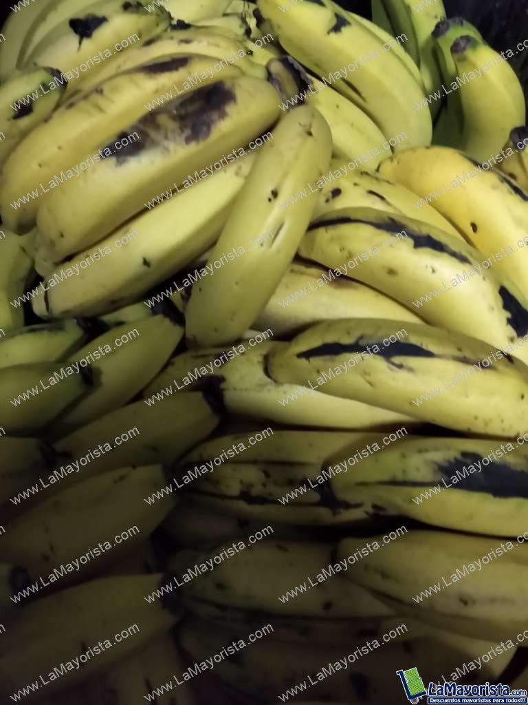 Banano criollo