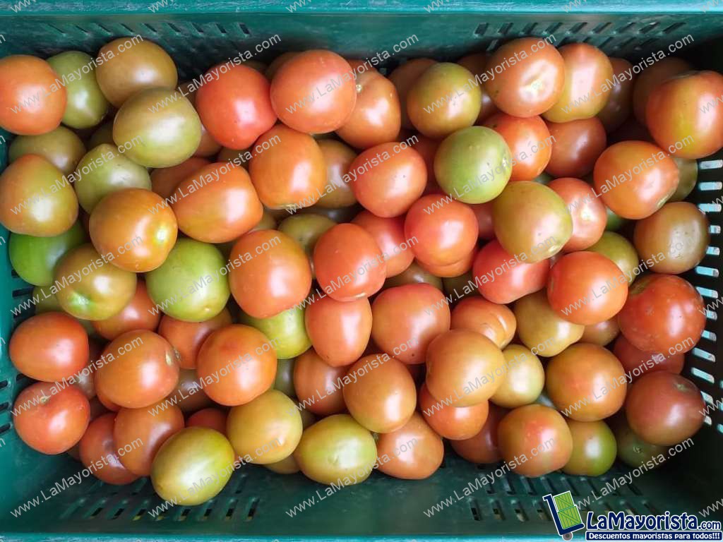 Tomate parejo