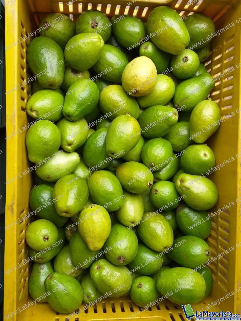 Guayaba Gruesa