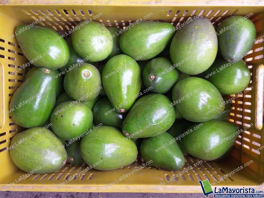 Aguacate Papelillo Primera