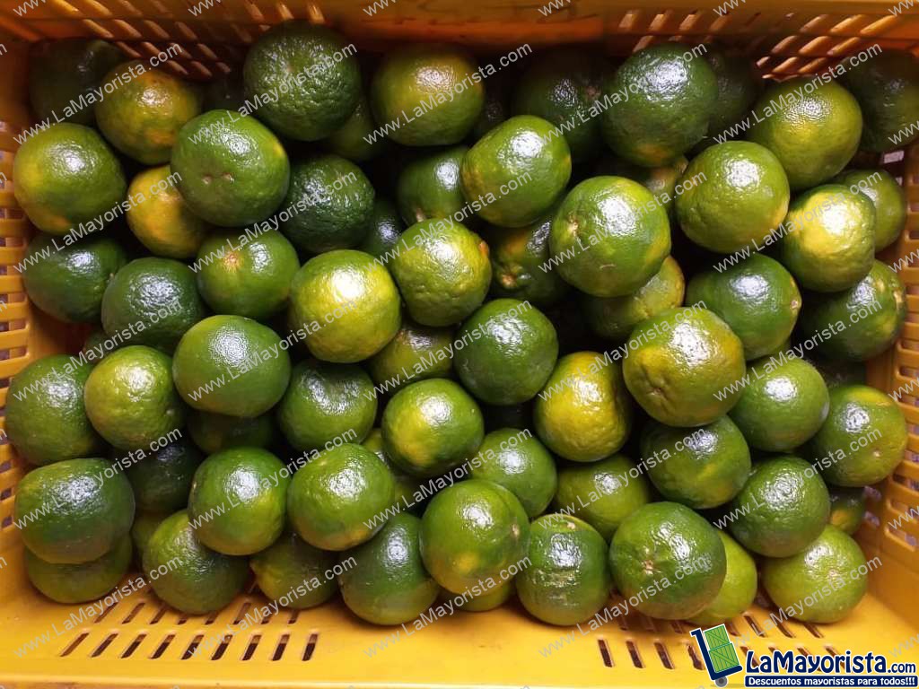 Mandarina Primera