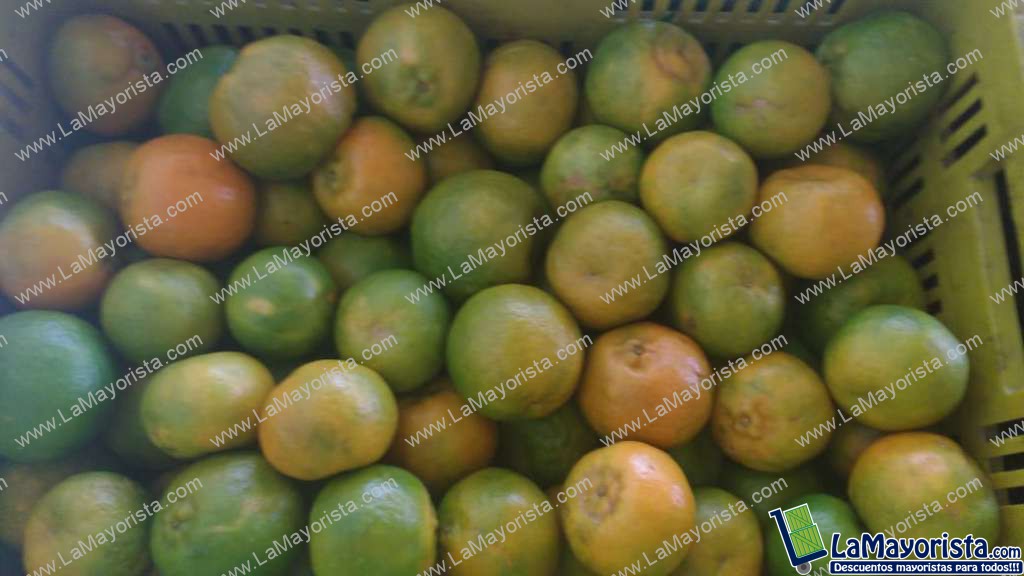 Mandarina sin clasificar y sin encerar — foto 2 de 2