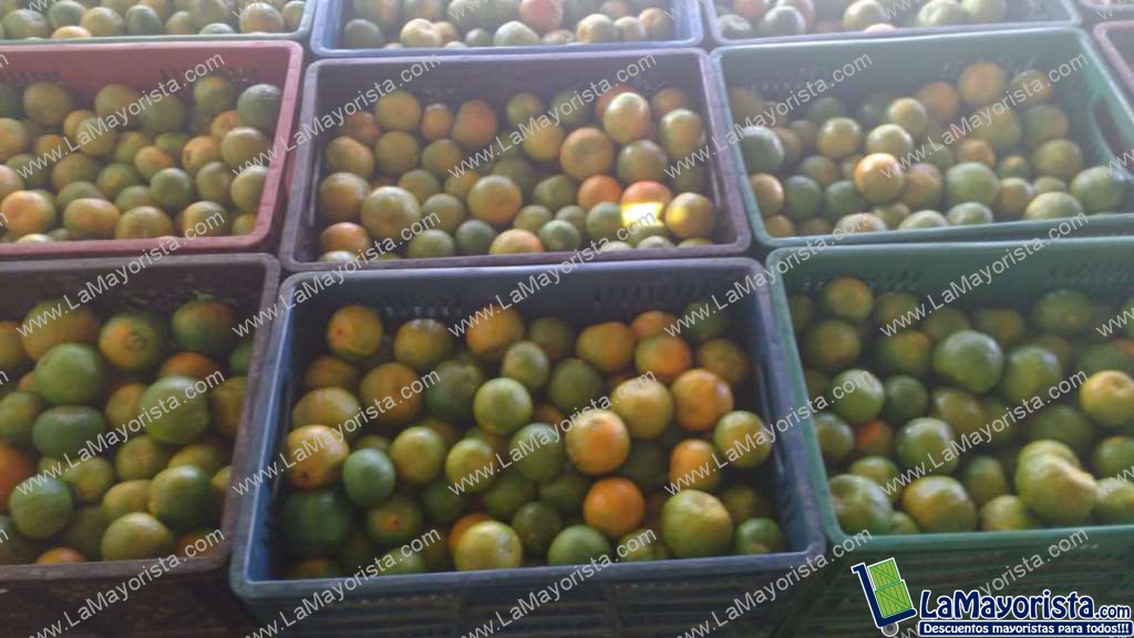 Mandarina sin clasificar y sin encerar