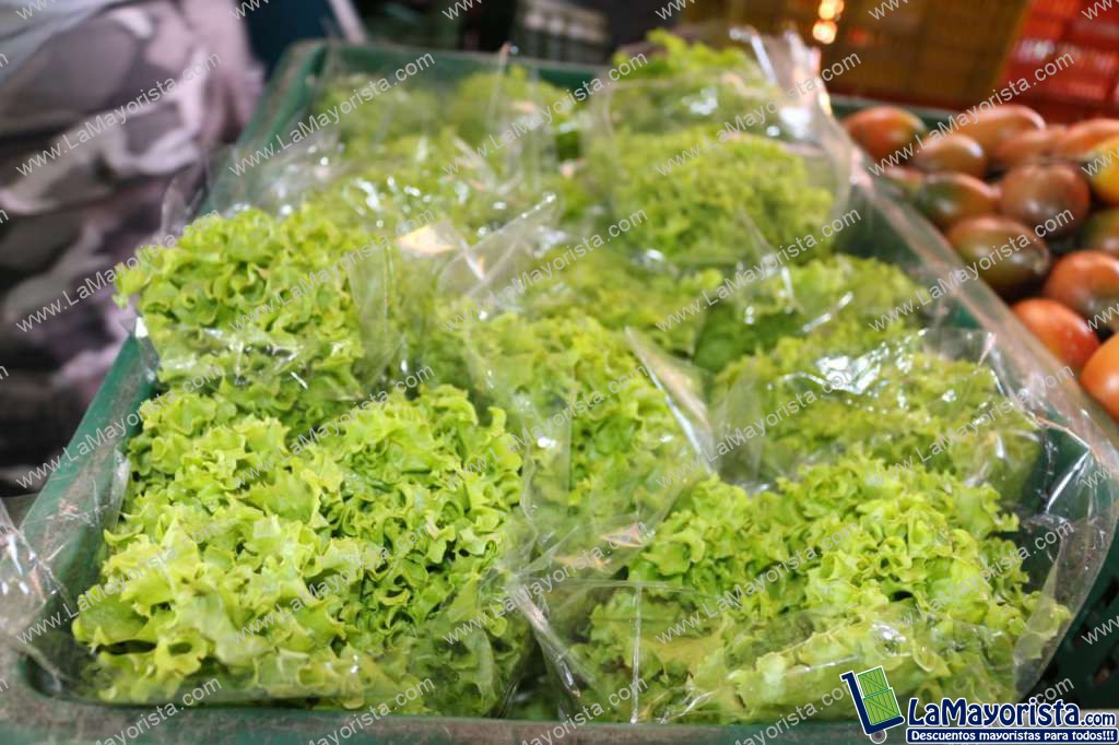 Lechuga Crespa