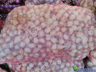 Semillon