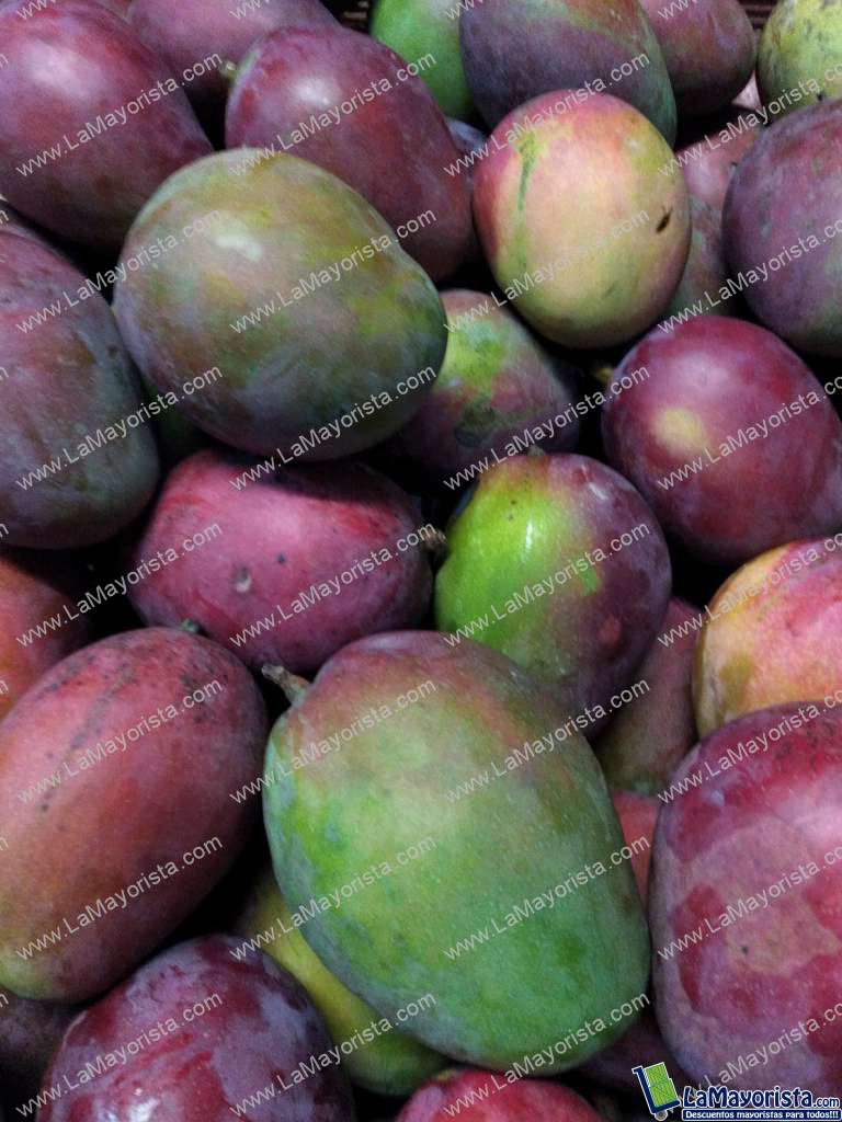 Mango tommy