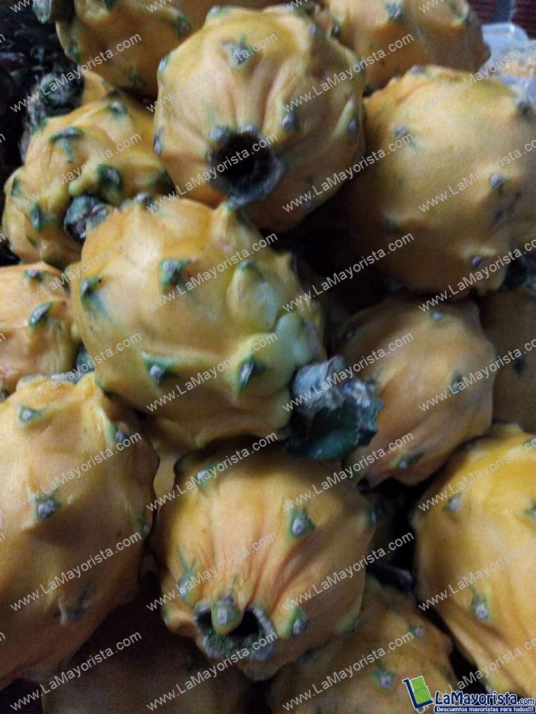 Pitaya