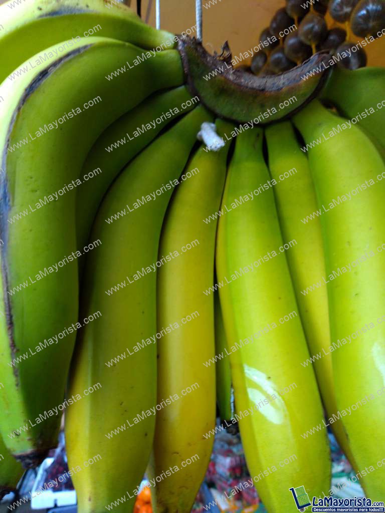 Banano criollo