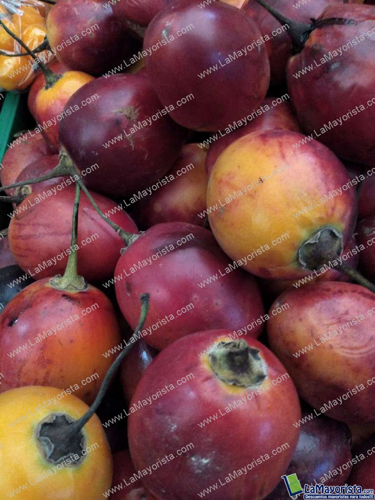 Tomate de árbol injerto