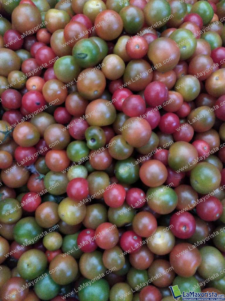 Tomate Cherry