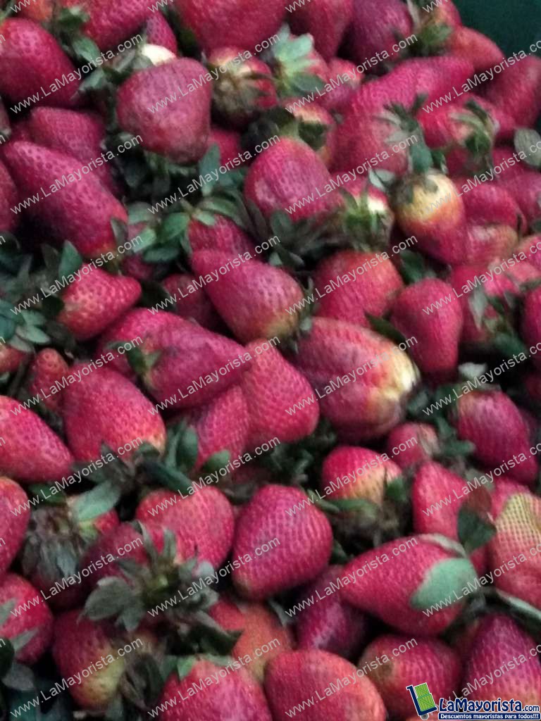Fresas jumbo