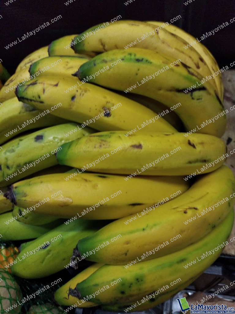 Banano criollo