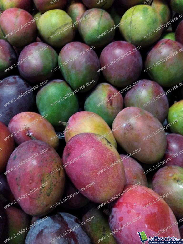 Mango tommy