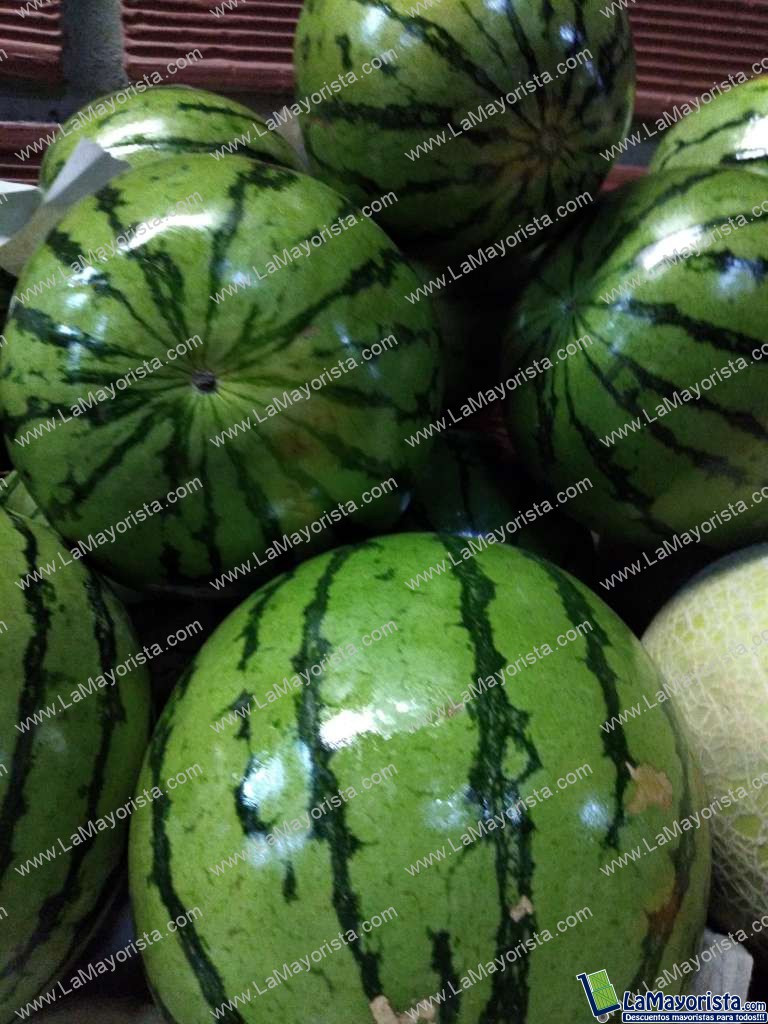 Sandia baby