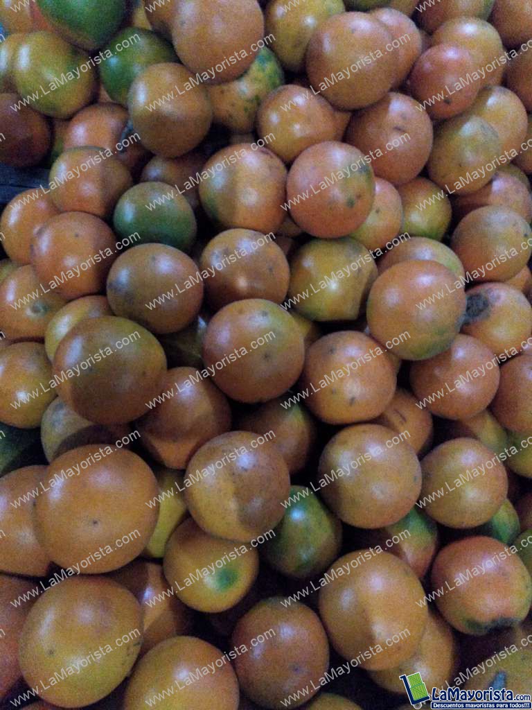 Lulo criollo