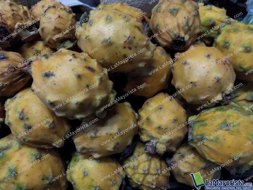 Pitaya