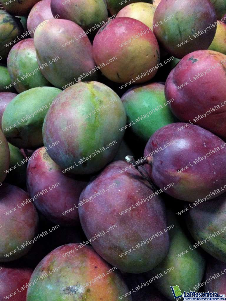 Mango tommy