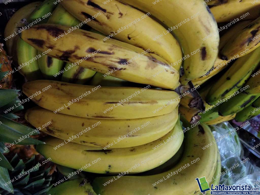 Banano criollo