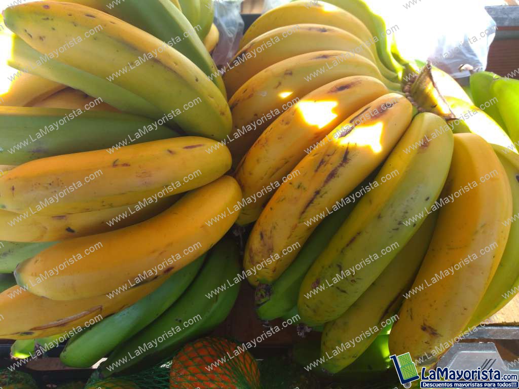 Banano criollo