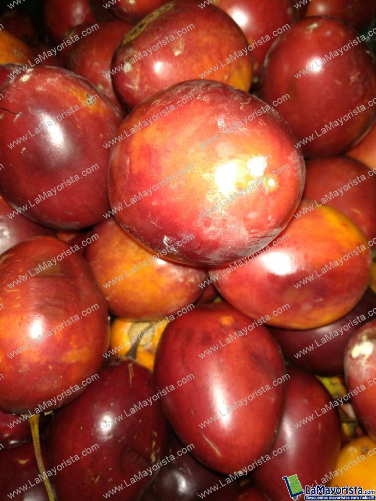 Tomate de árbol injerto