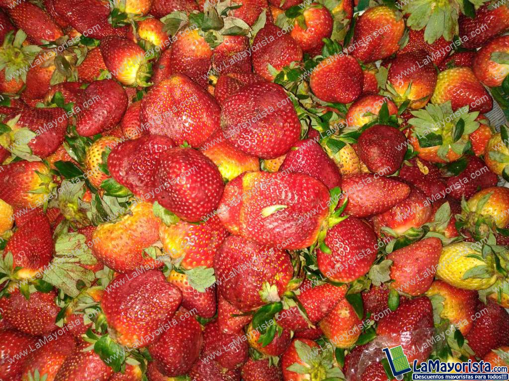 Fresas jumbo