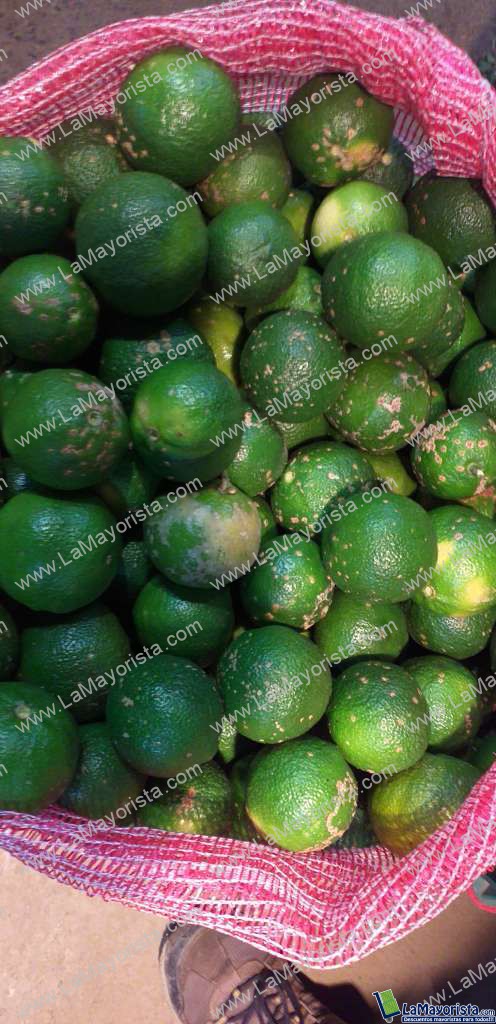Limon mandarino