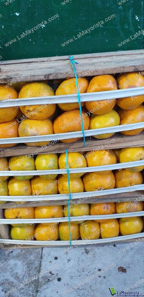 Mandarina criolla