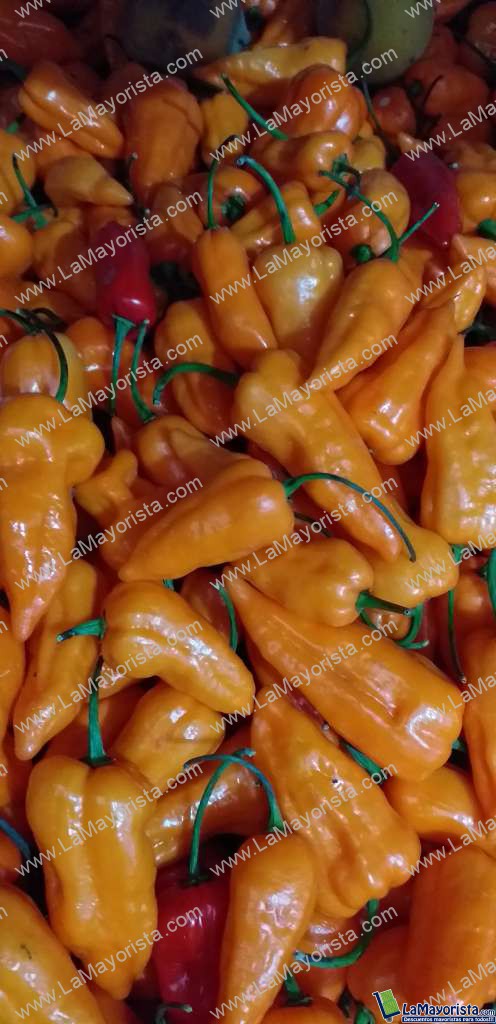 Aji referencia habanero amarillo